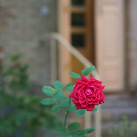 Antica Family Guest House Samarkand Exterior photo